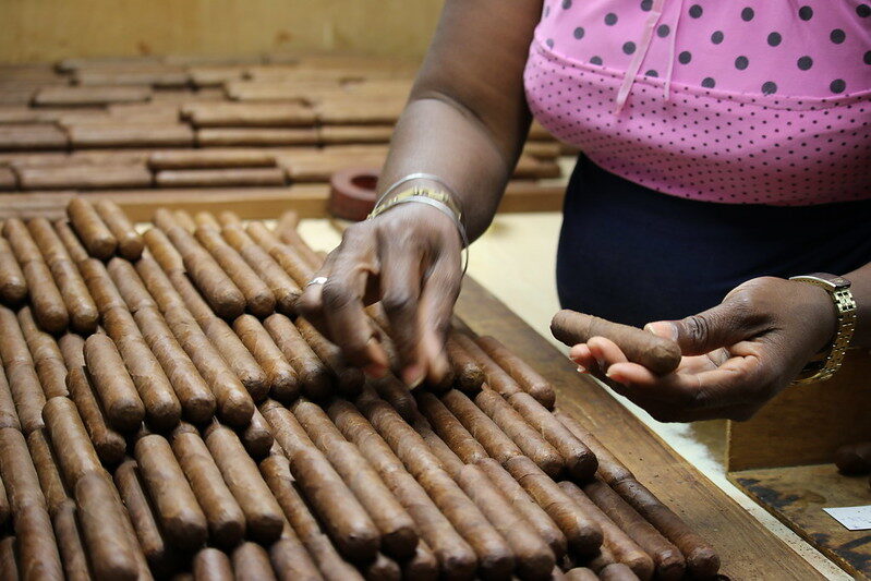 Diferencia entre los puros cubanos y los puros dominicanos - Cigar Smoker  Club