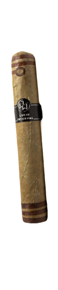 Jake Wyatt Lucid Interval Robusto reviews & price